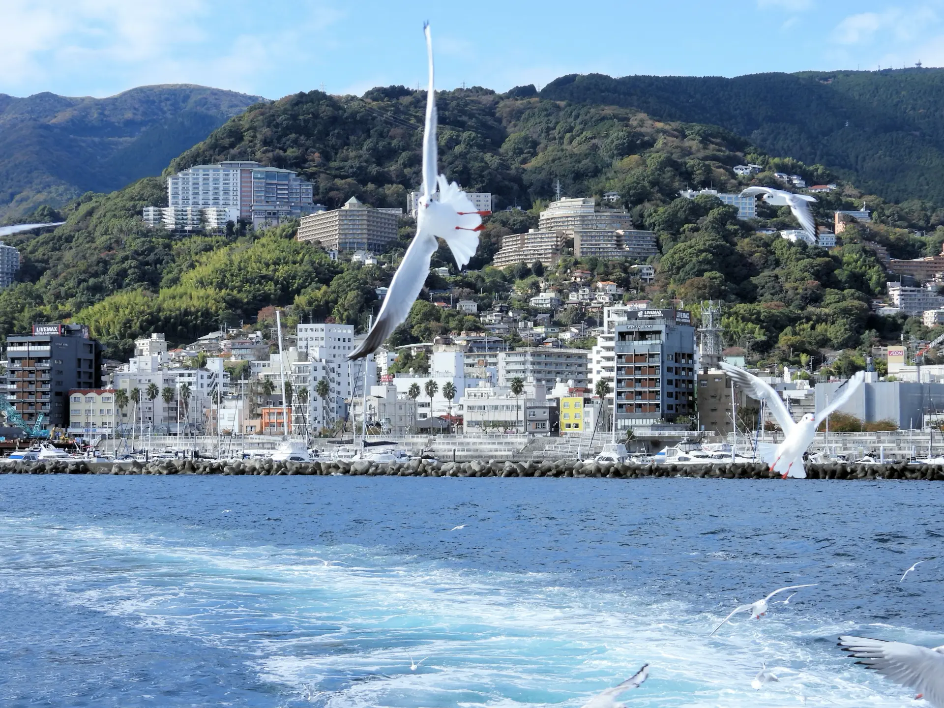 熱海から船で行ける初島